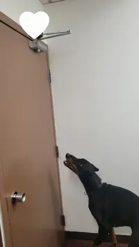 1706057368332.webp