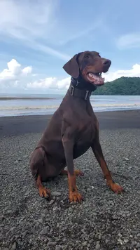 20230828_094646.webp