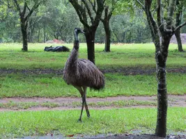 IMG_0488x2.webp