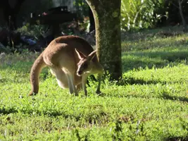 IMG_0496x2.webp
