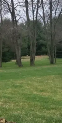 VideoCapture_20240315-082109.webp