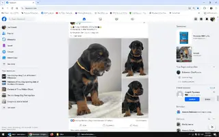 1711406654019.webp