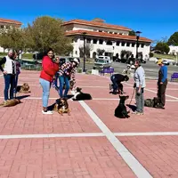 Primal Dog class 4:7:24.jpg