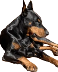 1712636631235.png