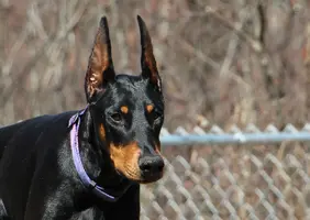 Head shot outside close Apr 21 24.webp