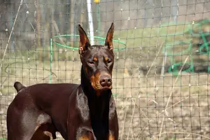 Alert by garden Apr 21 24.webp