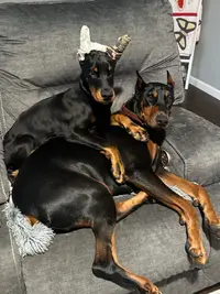Brothers.webp
