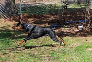 Running stretched out May 6 24.webp