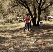 Screen Shot 2024-05-11 at 1.01.59 PM.webp