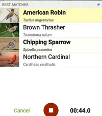 Screenshot_20240523-064503_Merlin Bird ID.webp