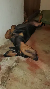 20240522_195441.webp
