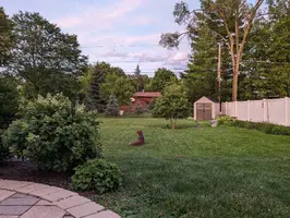 PXL_20240614_013406956.webp