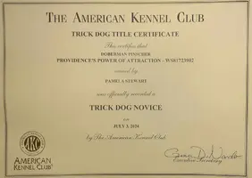 TKN Certificate.webp