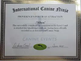 ICN cert.webp