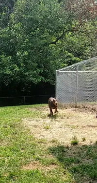20240723_122853.webp