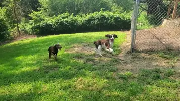 VideoCapture_20240723-124351.webp