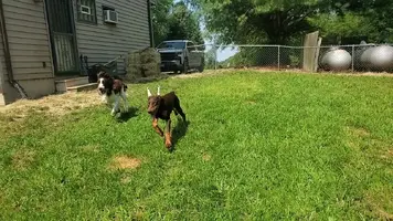 VideoCapture_20240723-124312.webp