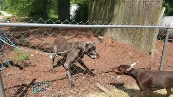 VideoCapture_20240723-123520.webp