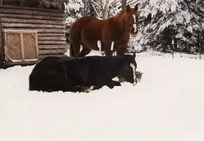 Lisa and Jasmine in snow.webp