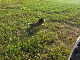 20240807_080121.webp 20240807_080121.webp