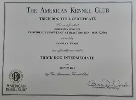 TKI Certificate.webp