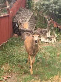 IMG_0205.webp