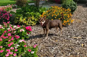 20240829_110907.webp