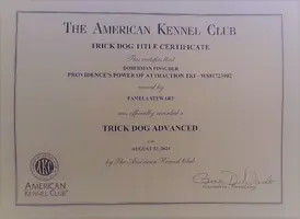 3 TKA Certificate.webp