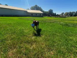 20241001_134421.webp