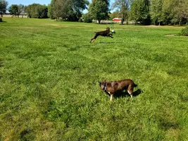 20241007_130717.webp