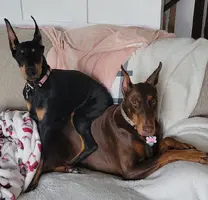 Winnie sitting on red boy Sept 25 24.webp