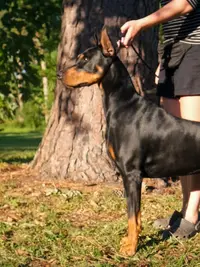 DSCF4640.webp