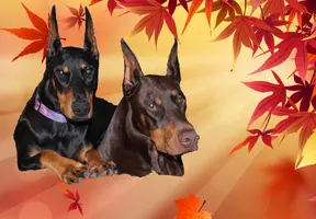 Heads together fall bg .webp