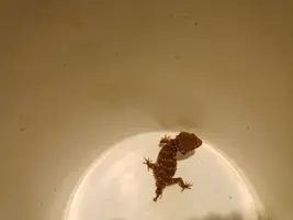 IMG_20241020_190338_468.webp