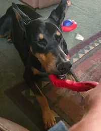 20241028_141300.webp