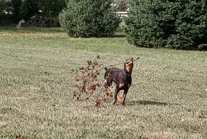20241028_174709.webp