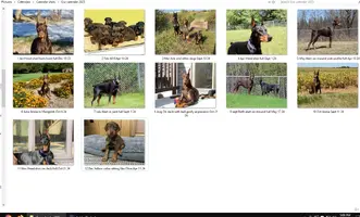 Our calendar 2025 .webp