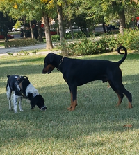 Screenshot_20241105_212741_Gallery.webp