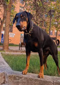Screenshot_20241018_132157_Gallery.webp