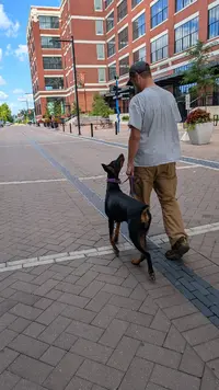 PXL_20240810_154732320.MP.webp