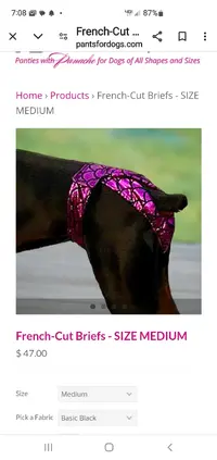 Screenshot_20241202-190852_Chrome.webp