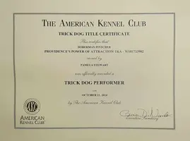 4 TKP Certificate.webp