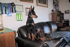 Sitting tall on Elroy Dec 13 24.webp