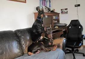 Sitting on Elroy on couch Dec 18 24.webp