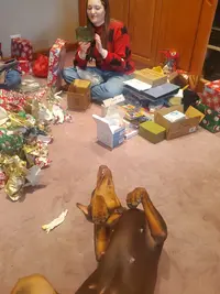 20241225_110759.webp