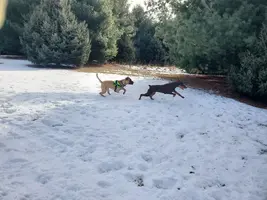 20250125_115700.webp