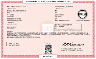 OFA cardiac jpeg.webp