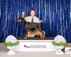 TRAVIS WITH CHAMP.webp
