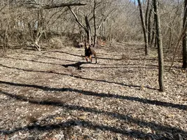 20250309_131400.webp 20250309_131400.webp