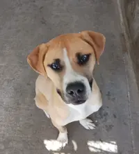 486521211_10229367611879380_1909673091649123011_n.webp